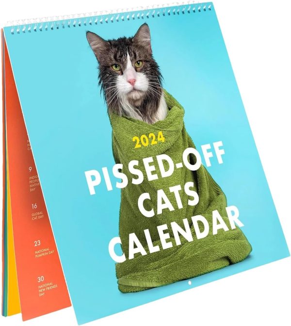 2024 Pissed-Off Cats Calendar-12 Month Angry Cat Calendar, Ugly Cats Planning Hanging Calendar with Major Holidays & Funny Occasion, Sassy Wall Calendar, Creative Cat Lovers