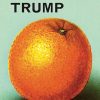 A Ladybird Book About Donald Trump: Ladybirds for Grown-Ups