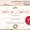 Adoption Certificate: Puppy Cat or Any Pet Adoption Certificates for Parties or for Breeders | Puppy Dog Adoption Certificates | Dog Party Favors and Supplies | 20 Certificates
