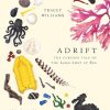 Adrift: The Curious Tale of the Lego Lost at Sea