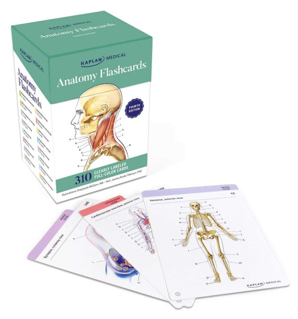 Anatomy Flashcards: 310 Clearly Labeled Full-color Cards