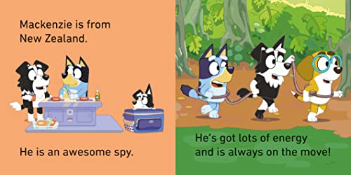 Bluey: Bluey and Friends Little Library