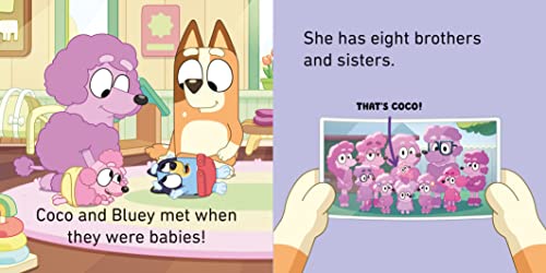 Bluey: Bluey and Friends Little Library