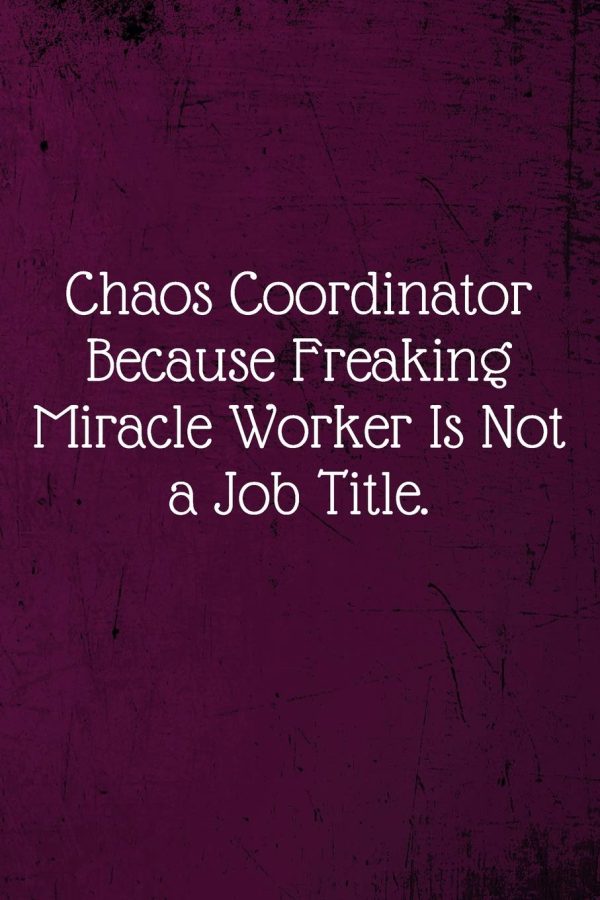 Chaos Coordinator Because Freaking Miracle Worker Is Not a Job Title.: Coworker Notebook (Funny Office Journals)- Lined Blank Notebook Journal