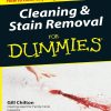 Cleaning and Stain Removal for Dummies