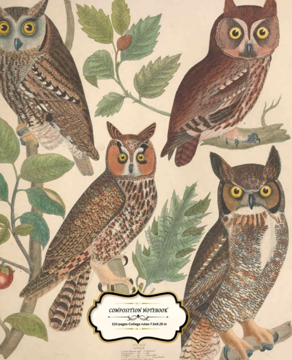 Composition Notebook College Ruled 7.5" x 9.25": Vintage Owls Illustration Journal with 110 Pages For School, Office, Work