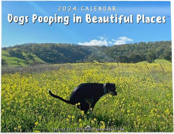 Dogs Pooping In Beautiful Places Calendar 2024 | Pooping Puppies Calendar 2024 | Humor Funny Wall Calendar | Wall Art Gag Humor Gift Prank Calendar for Birthdays, Christmas