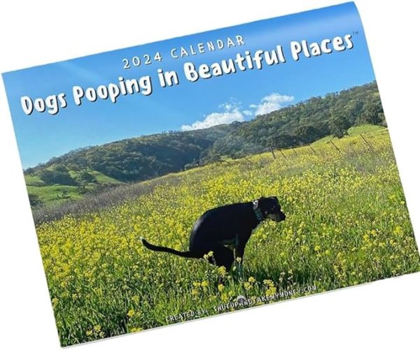 Dogs Pooping In Beautiful Places Calendar 23/2024 - Pooping Puppies - Humor Funny Wall Calendar - Wall Art Gag Humor Gift Prank Calendar for Birthdays, Christmas
