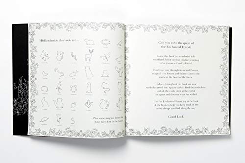 Enchanted Forest: An Inky Quest & Colouring Book: 1