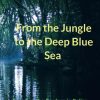 From the Jungle to the Deep Blue Sea: Securing the Borders in Belize