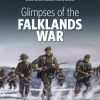 Glimpses of The Falklands War