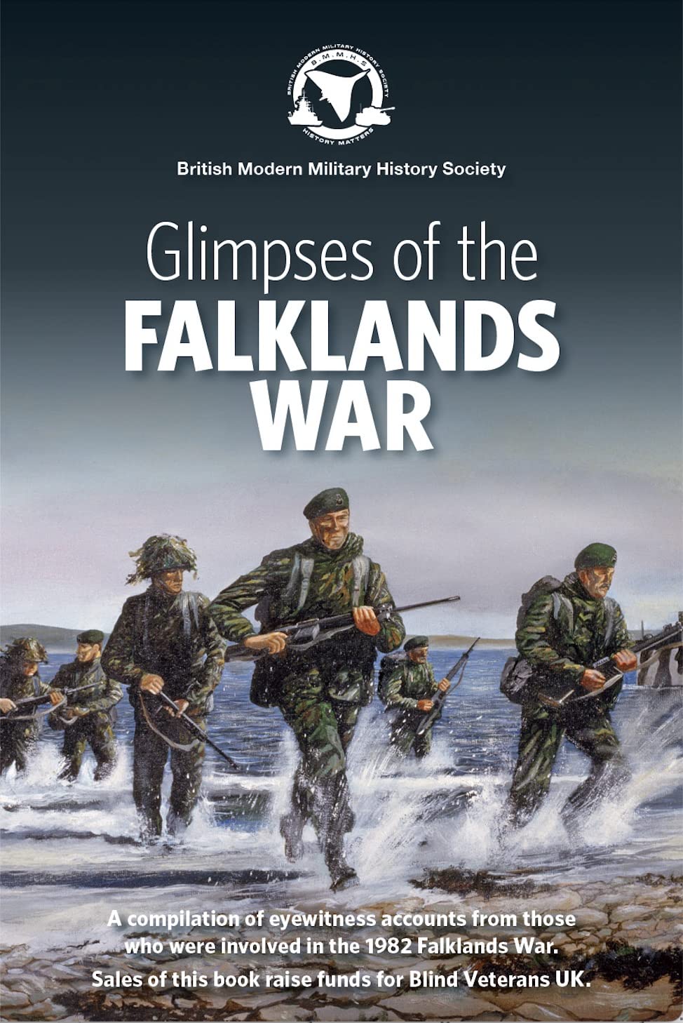 Glimpses of The Falklands War