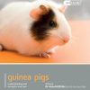 Guinea Pig - Pet Friendly: Understanding and Caring for Your Pet