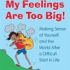 Help! My Feelings Are Too Big!: Making Sense of Yourself and the World After a Difficult Start in Life - for Children with Attachment Issues