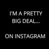 I'm a pretty big deal... on Instagram: Cute Social Media Fan Notebook, Perfect Gift Idea For IG Influencer