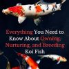 Koi Fish Mastery 101: Everything You Need to Know About Owning, Nurturing, and Breeding Koi Fish