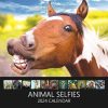 Our World Animal Selfies Wall Calendar 2024 - Funny Family Planner & Daily Organiser with Fun Monthly Pictures - Great Gift for Animal Lovers - Slim 2024 Animal Calendar Wall...