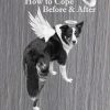 Pet Grief: How to Cope Before & After
