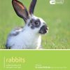 Rabbits - Pet Friendly: Understanding and Caring for Your Pet