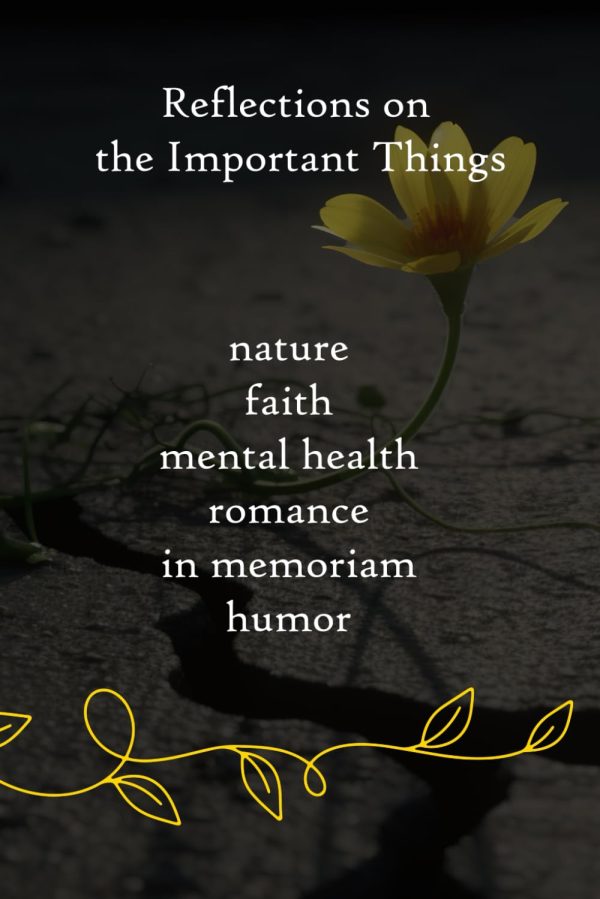 Reflections on the Important Things: 500+ poems on important life subjects such as nature, faith, mental health, romance, in memoriam, and humor.