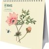 Royal Horticultural Society 2024 Desk Calendar, Month To View Desk Calendar, Official Product