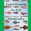 Sea Angling Fish Identification United Kingdom