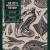 Sea-life & Monsters of the Deep: An Image Archive of 561 Downloadable Images for Artists and Designers