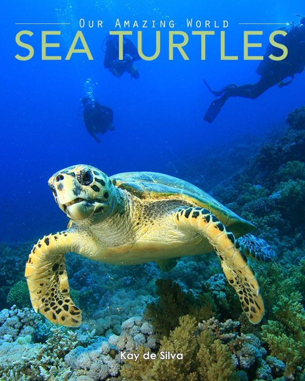 Sea Turtles: Amazing Pictures & Fun Facts on Animals in Nature: Volume 4 (Our Amazing World Series)