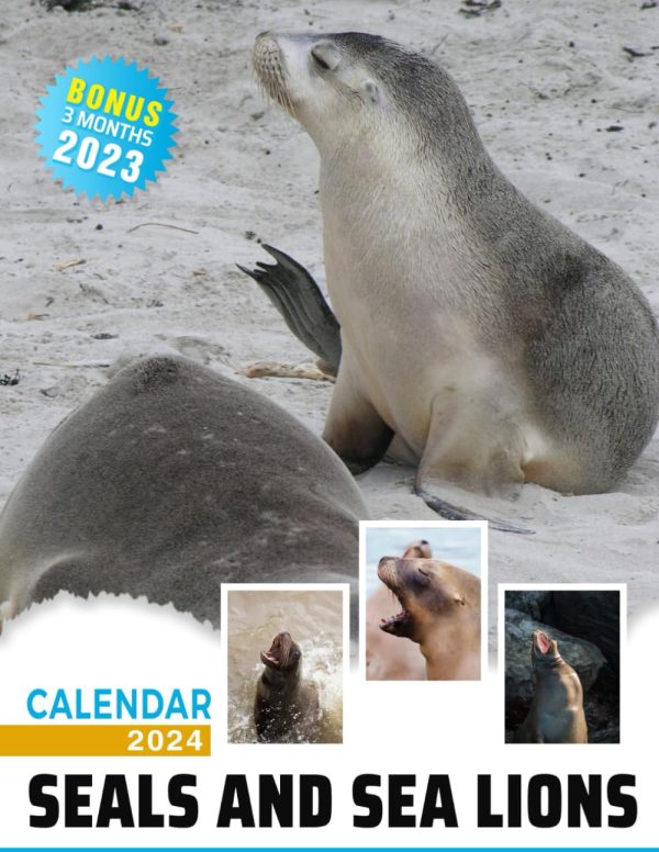Seals and Sea Lions Calendar 2024: Jan 2024 to Dec 2024, Bonus 3 Months Last 2023, 15 Months of Seals and Sea Lions, Thick & Sturdy Paper, Great Gift ... Major US Holidays,...