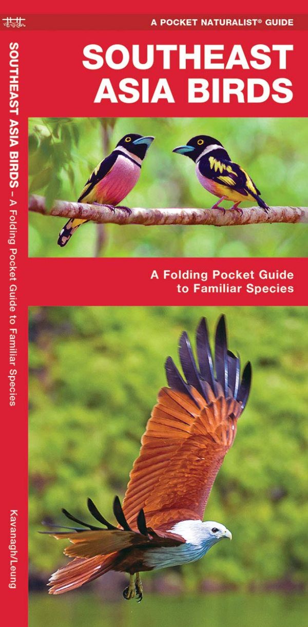 Southeast Asia Birds: A Folding Pocket Guide to Familiar Species (A Pocket Naturalist Guide)