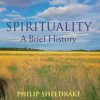 Spirituality: A Brief History, 2nd Edition (Wiley Blackwell Brief Histories of Religion)