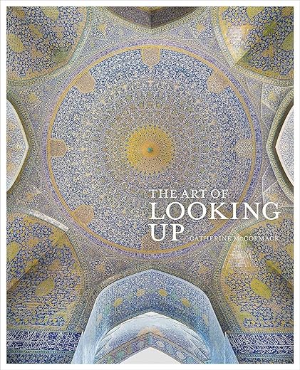 The Art of Looking Up