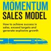 The Momentum Sales Model: How to achieve success in sales, exceed targets and generate explosive growth